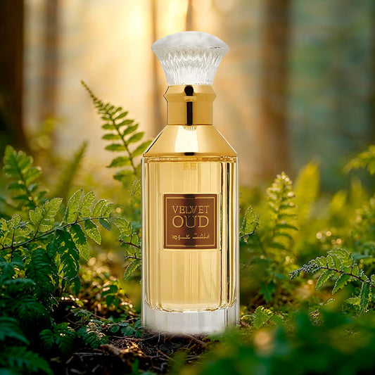 Caring for Your Perfume Collection